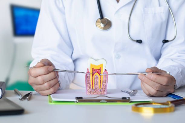 Best Emergency Treatment for Dental Infections or Abscesses in Green Springs, OH